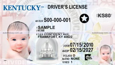 15-річні незабаром можуть легально їздити в Кентуккі