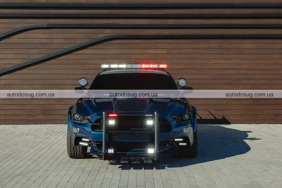 Мустанг кінозірки потребує вашої уваги