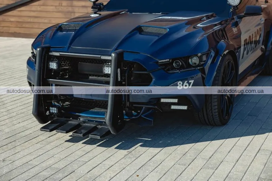 Мустанг кінозірки потребує вашої уваги