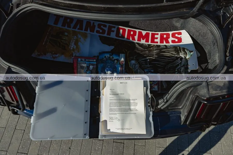 Мустанг кінозірки потребує вашої уваги