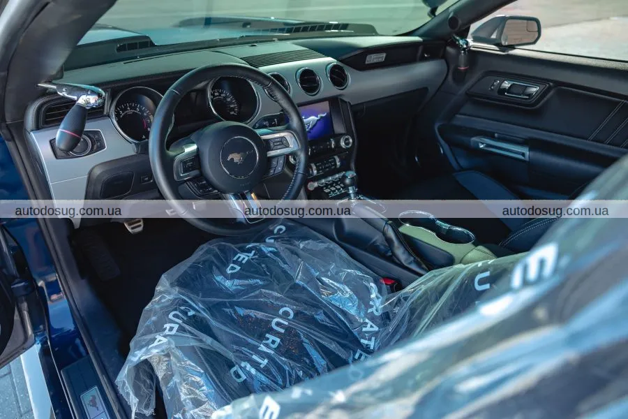 Мустанг кінозірки потребує вашої уваги