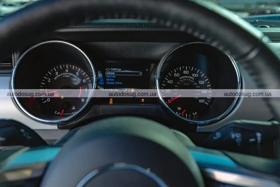 Мустанг кінозірки потребує вашої уваги