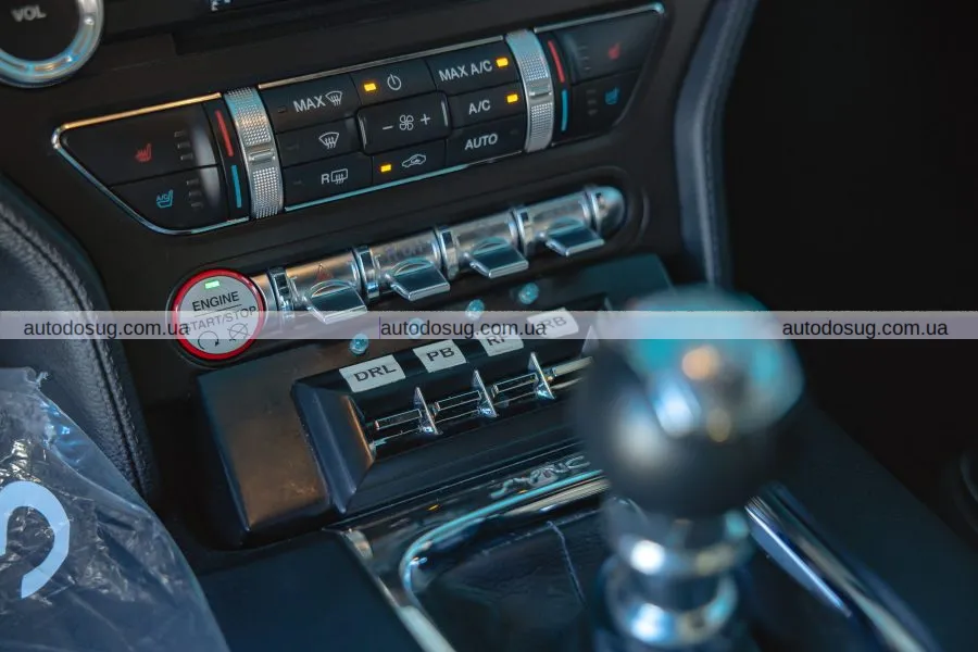 Мустанг кінозірки потребує вашої уваги