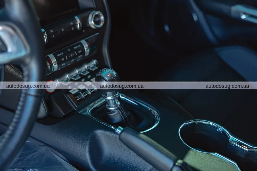 Мустанг кінозірки потребує вашої уваги