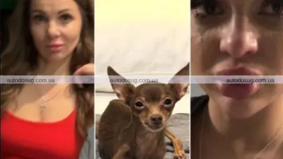 У Харкові поліцейська побилася з відвідувачкою готелю: розпочато розслідування