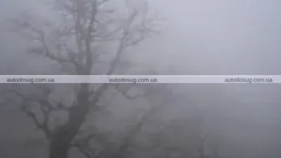 Забруднення повітря в Києві: сморід, пил і густий туман накрили місто