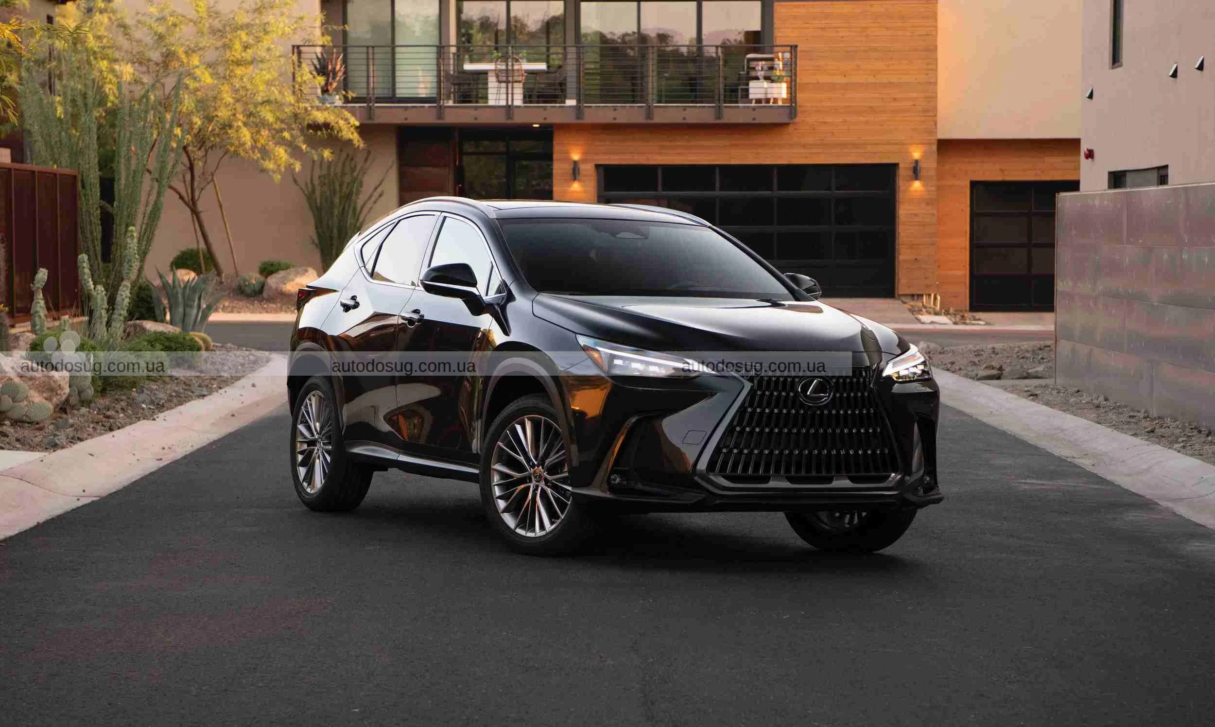 Lexus оновив лінійку NX, значно підвищивши ціни