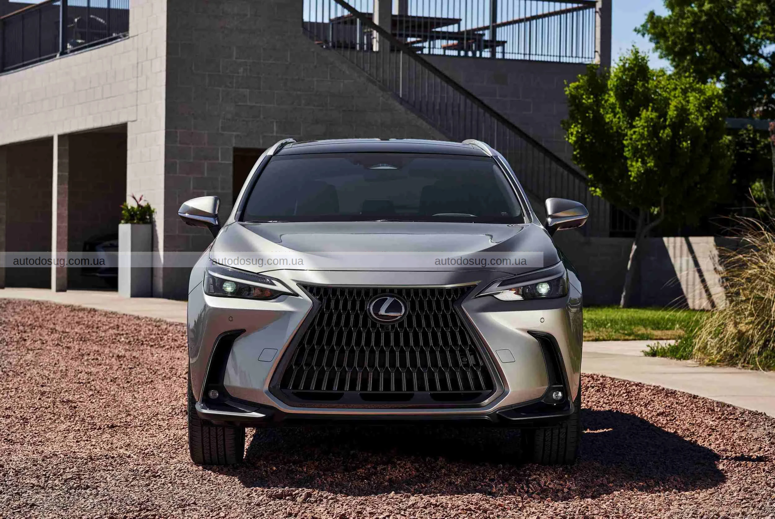 Lexus оновив лінійку NX, значно підвищивши ціни