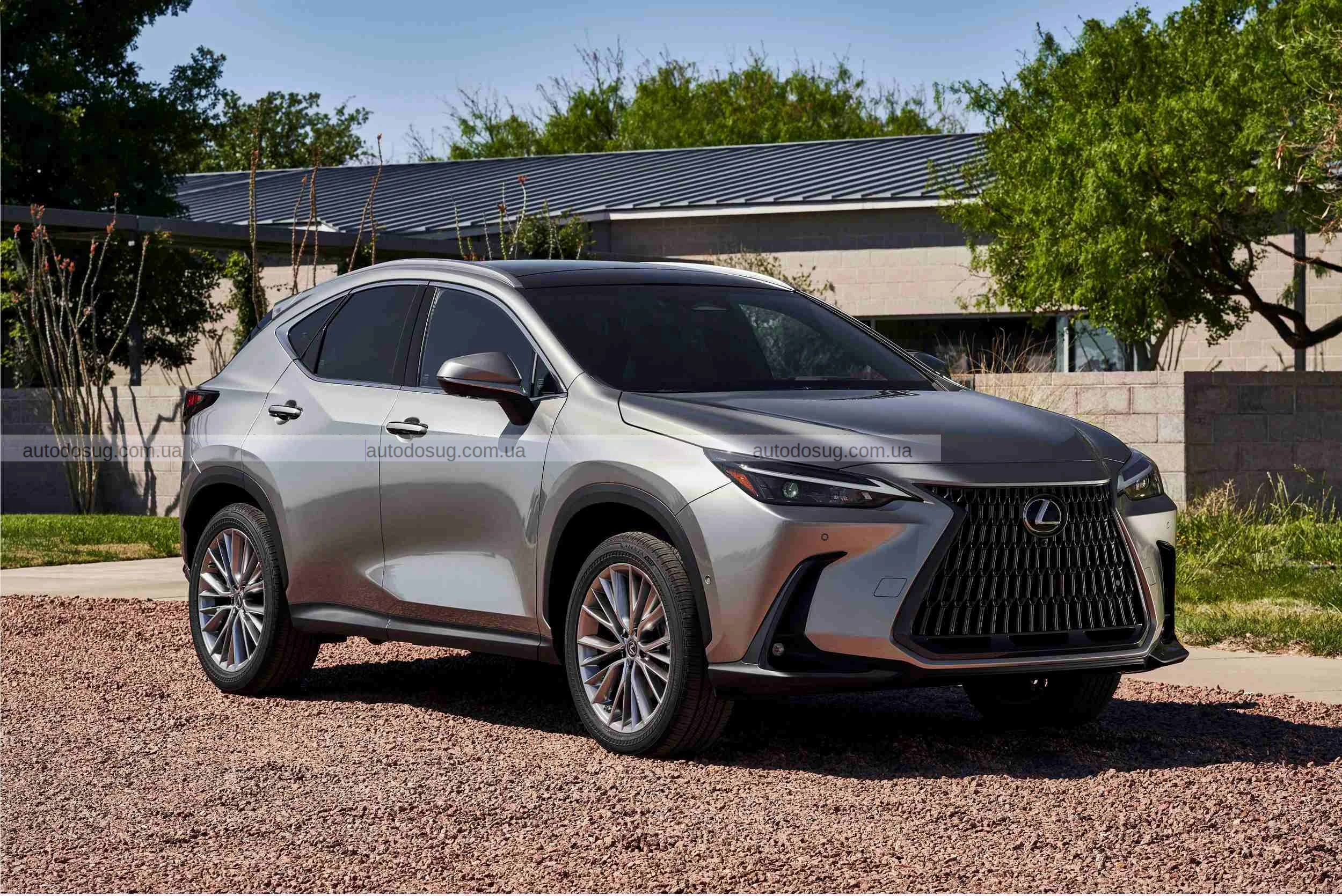 Lexus оновив лінійку NX, значно підвищивши ціни