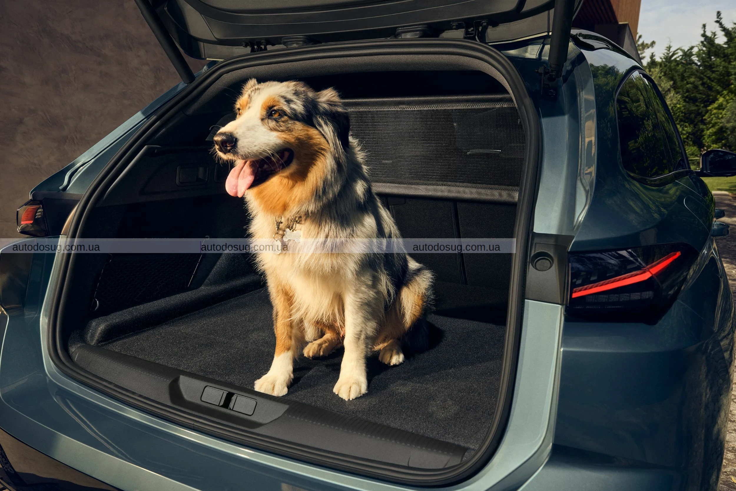 Фейсліфтинг Peugeot 308 позбувся іклів