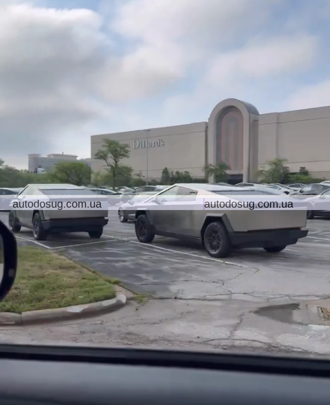 Tesla може зберігати непродані Model Y на вулицях