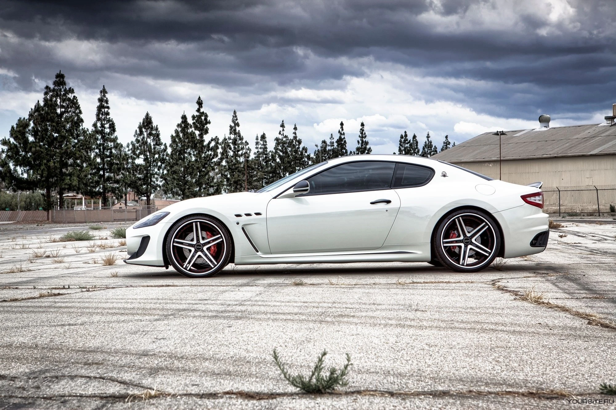 У який колір краще пофарбувати автомобільні диски для білого кузова