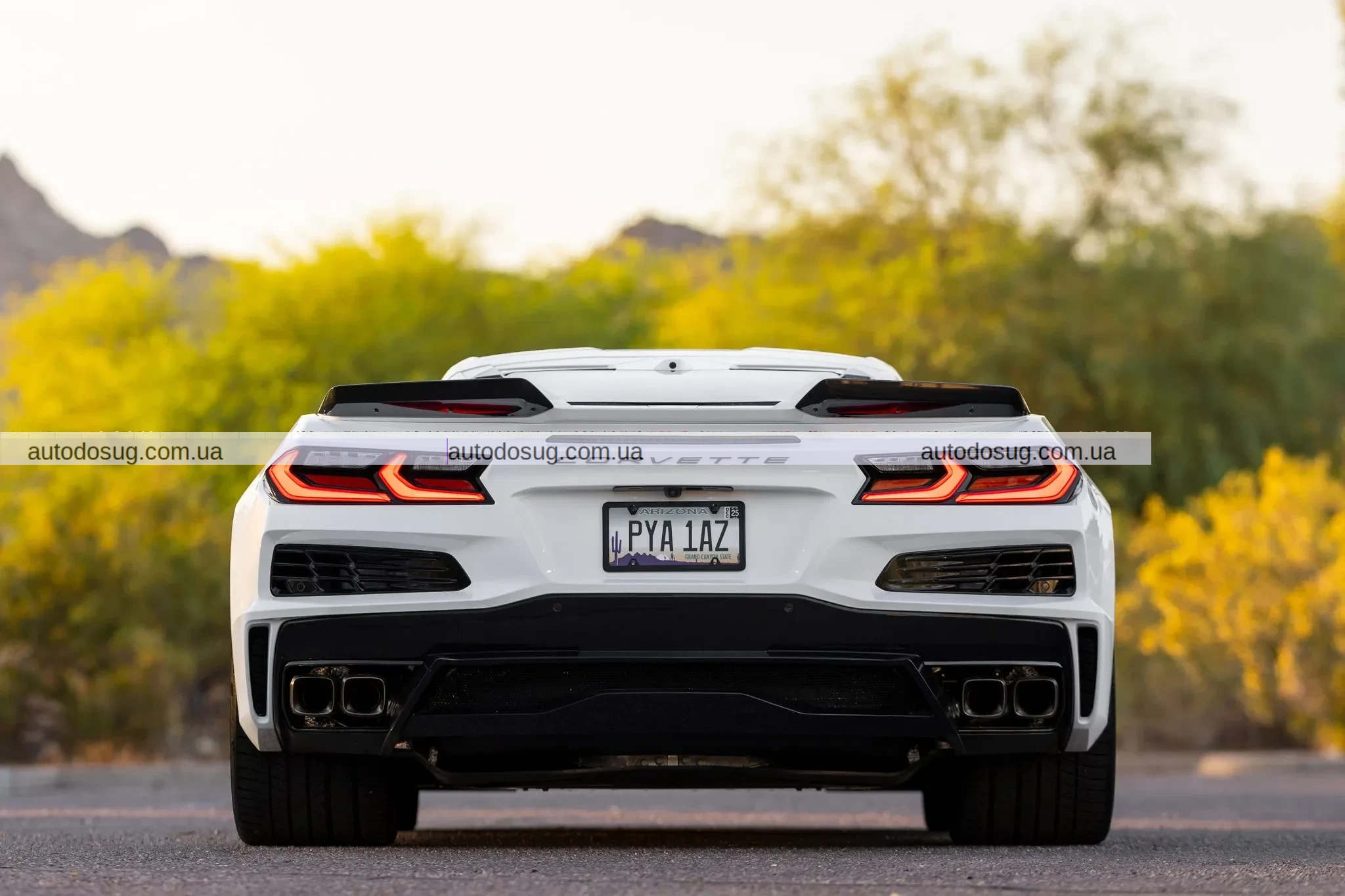 Відмова від $101 тис. обернулася проти продавця Corvette E-Ray