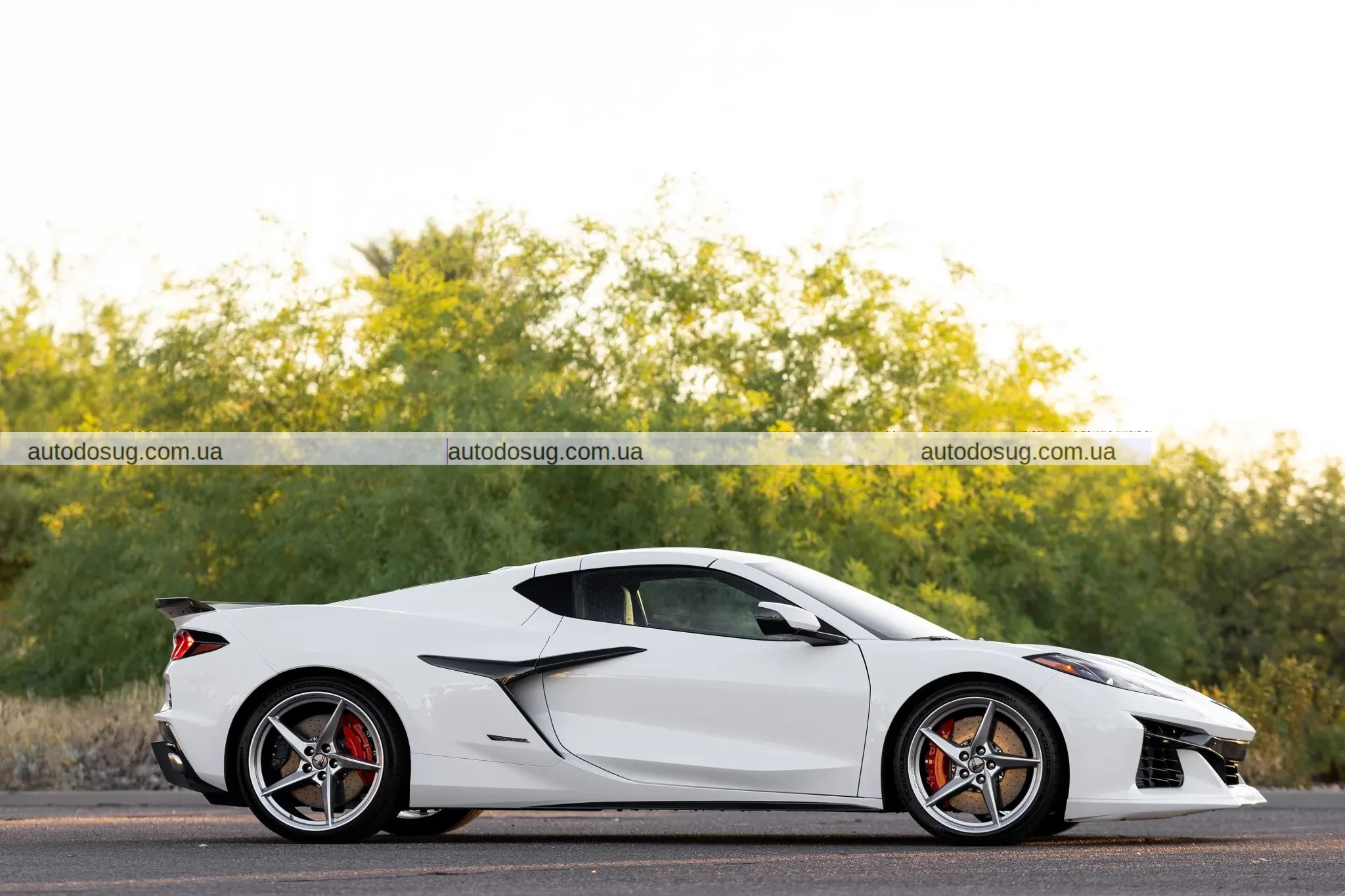 Відмова від $101 тис. обернулася проти продавця Corvette E-Ray