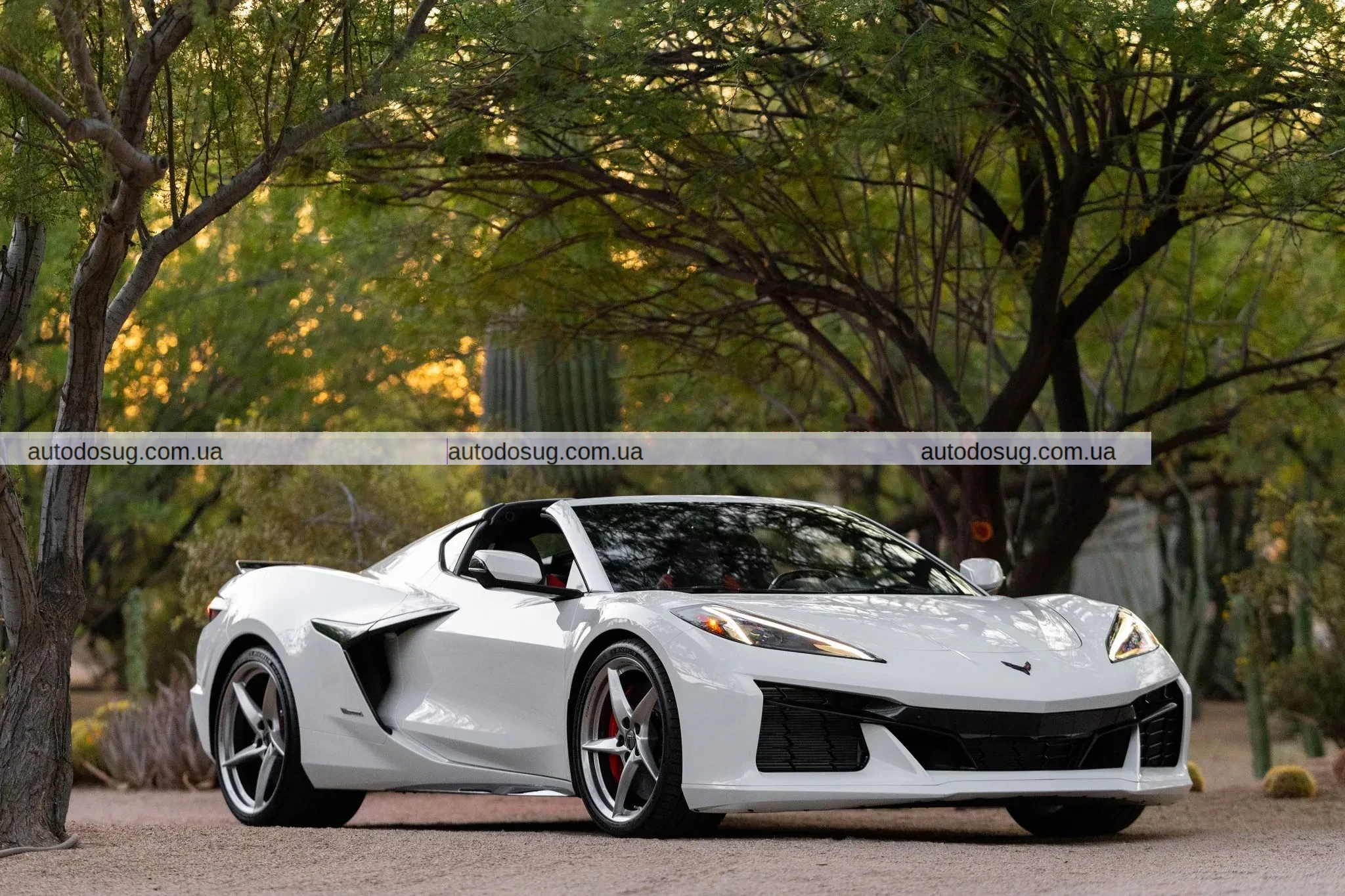 Відмова від $101 тис. обернулася проти продавця Corvette E-Ray