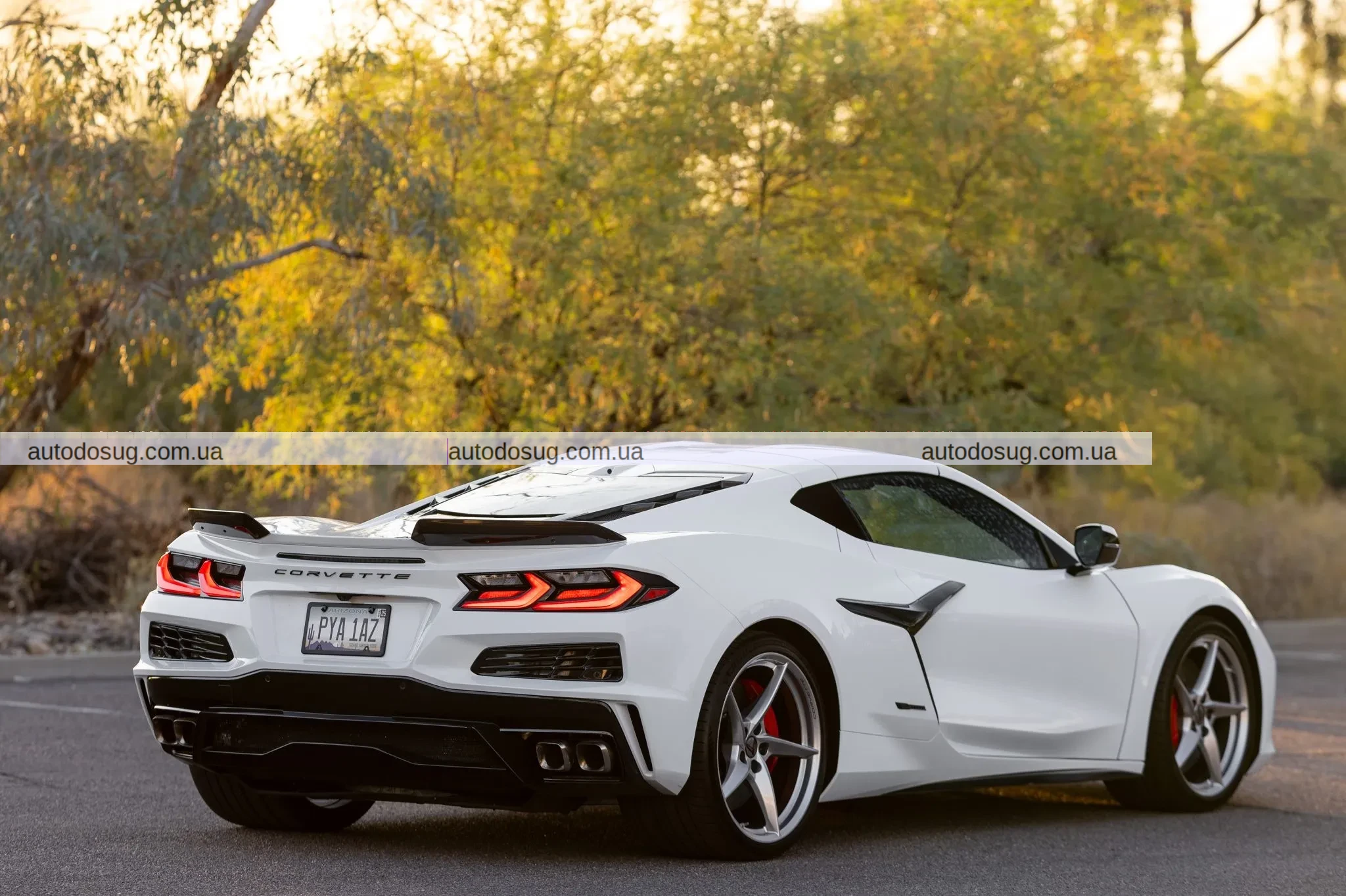 Відмова від $101 тис. обернулася проти продавця Corvette E-Ray