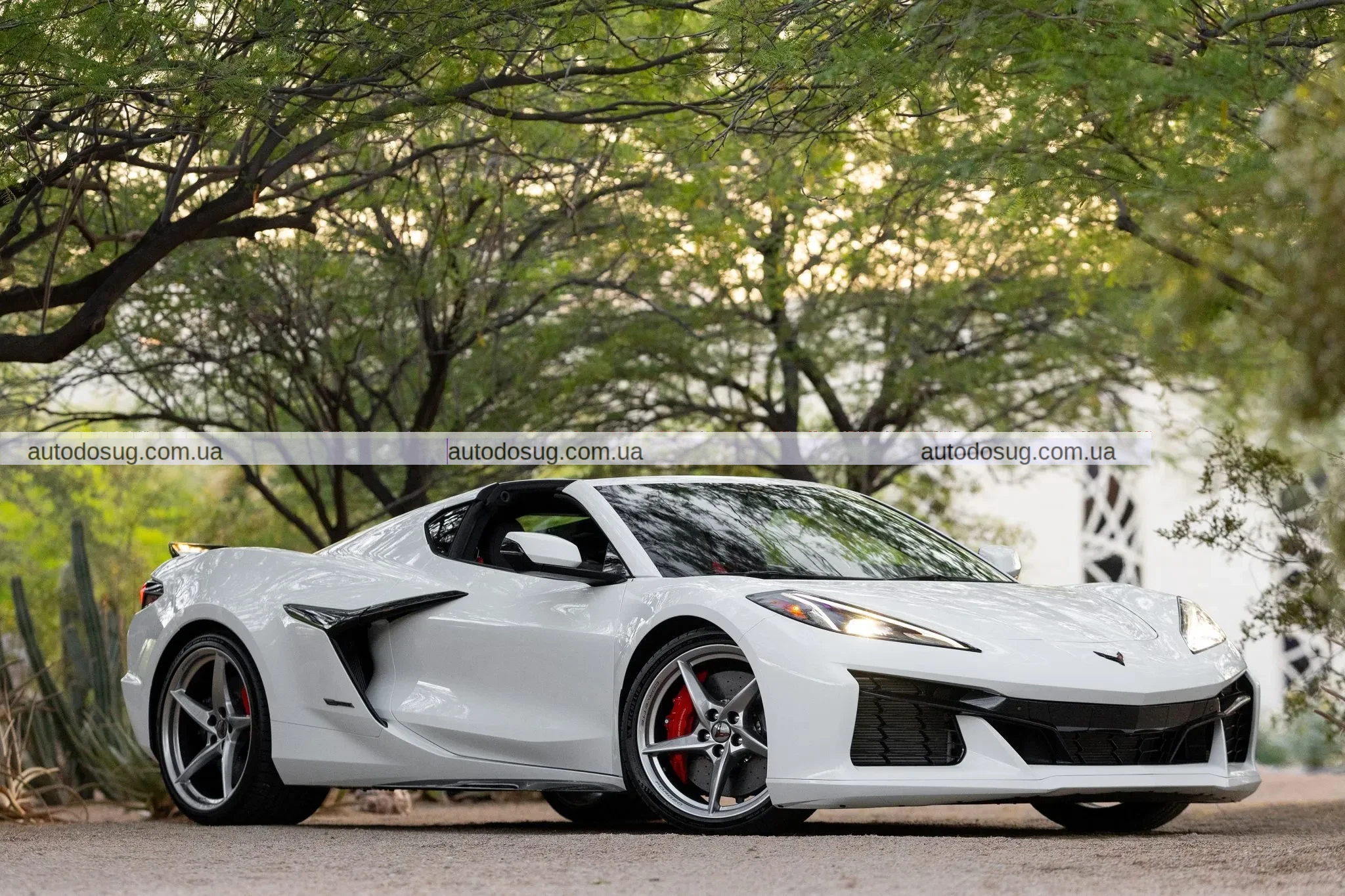 Відмова від $101 тис. обернулася проти продавця Corvette E-Ray