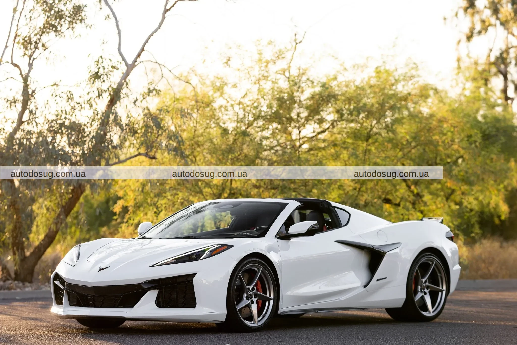 Відмова від $101 тис. обернулася проти продавця Corvette E-Ray