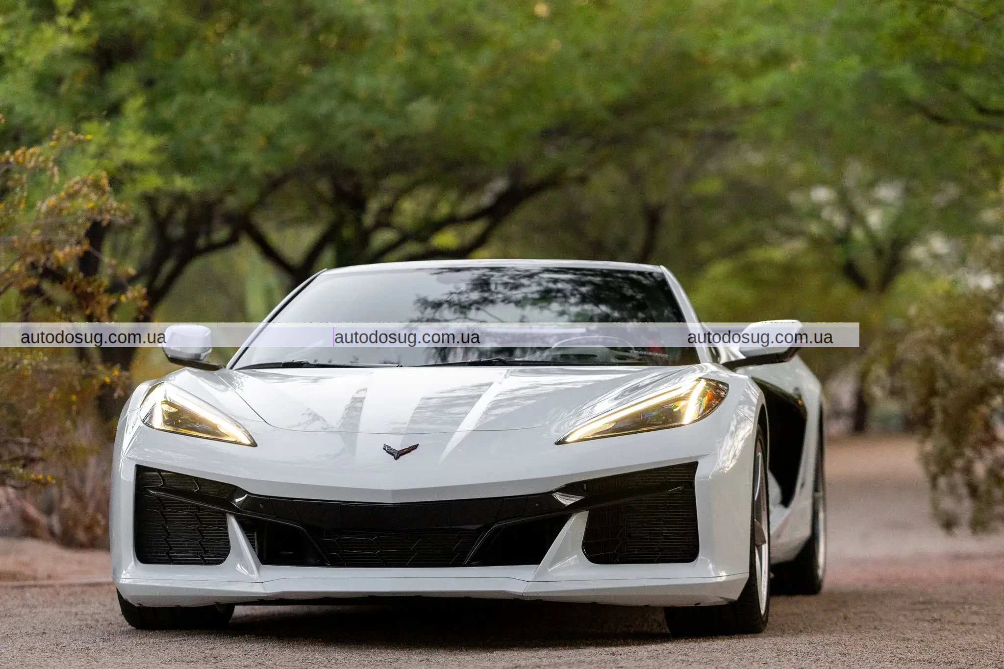 Відмова від $101 тис. обернулася проти продавця Corvette E-Ray