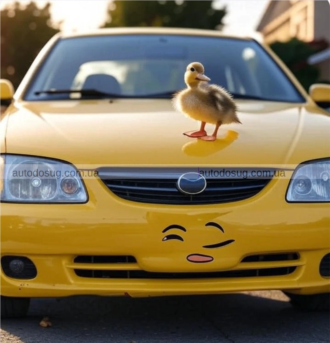 Європейські покупці автомобілів вибирають нудні кольори