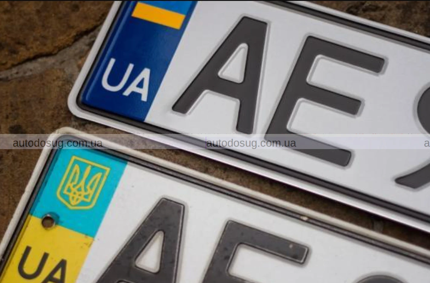 Кабмін дозволив замовляти та бронювати номерні знаки через “Дію”