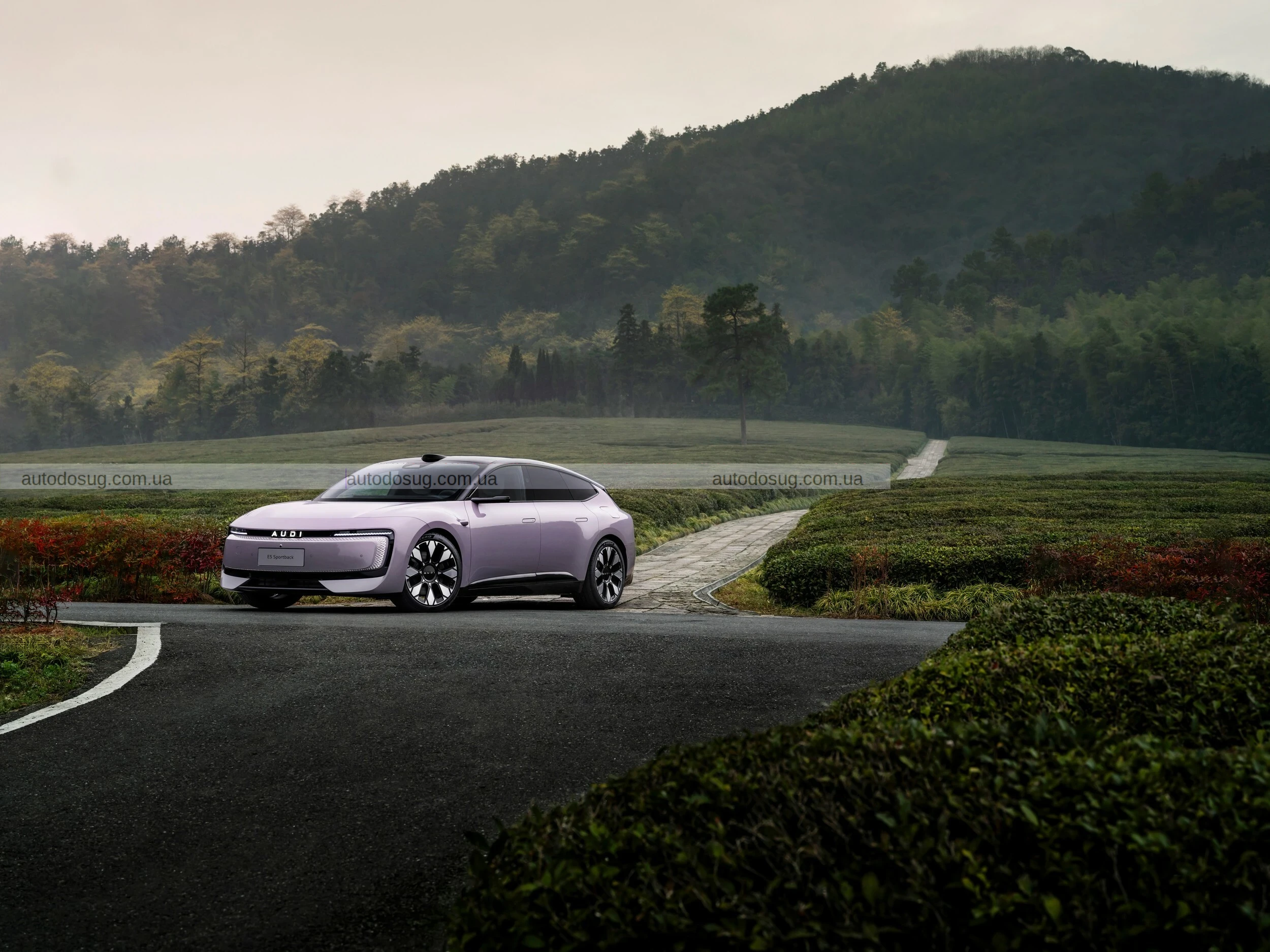 Китайський електромобіль Audi вартістю 33 тисячі доларів — це не тільки дешева робоча сила