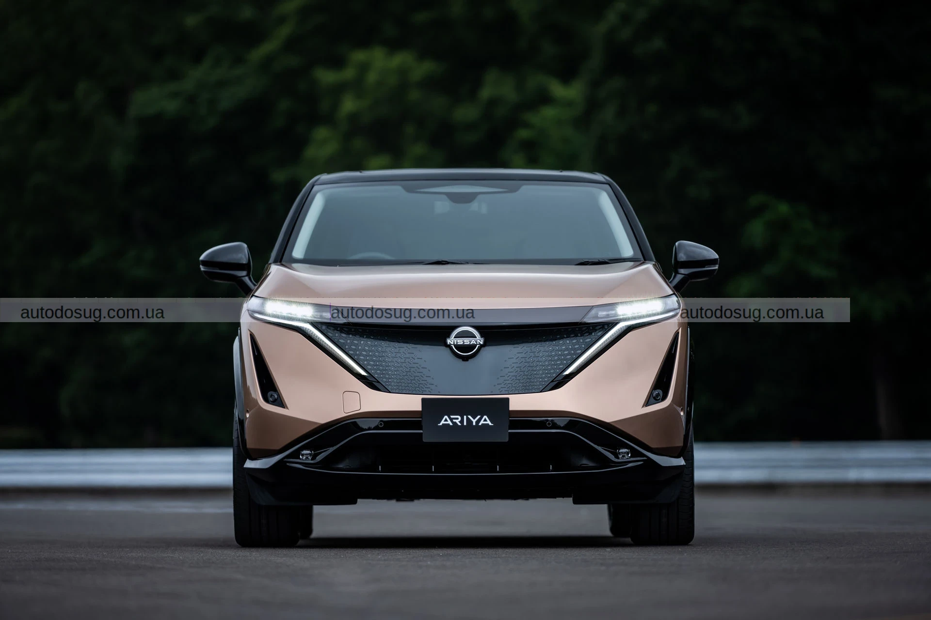 Nissan продемонстрував оновлену Ariya без решітки радіатора