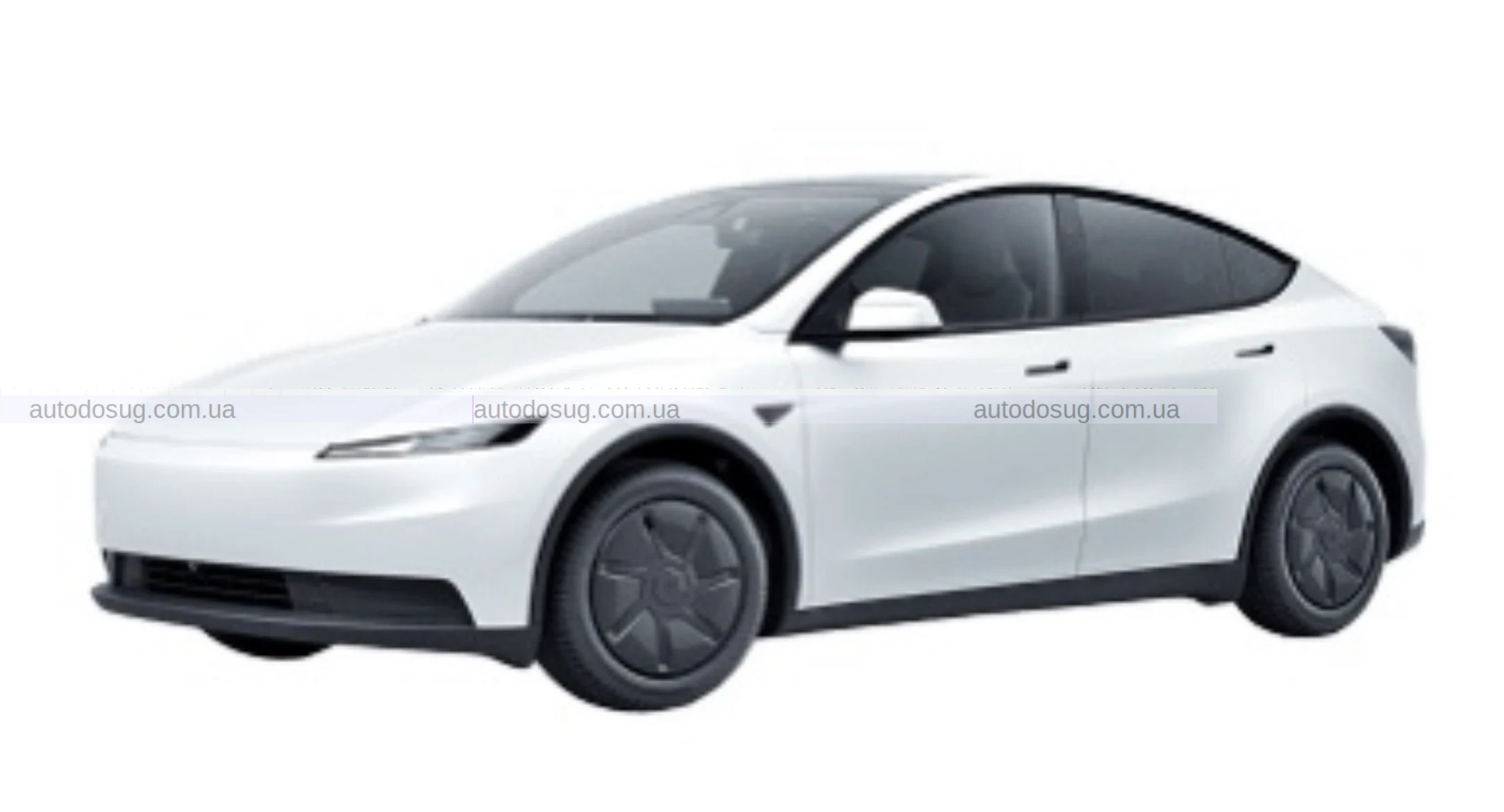 Tesla Model Y “Standard” виявилась базовою версією з меншим набором, але з прицілом на доступність
