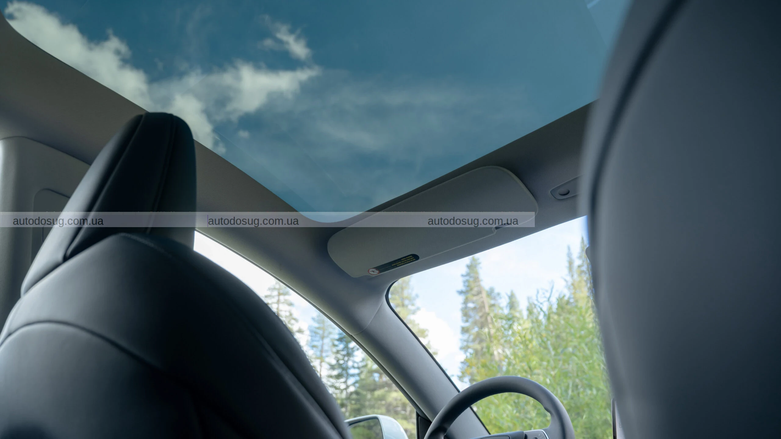 Tesla представляє найдешевші версії — Model 3 Standard і Model Y Standard