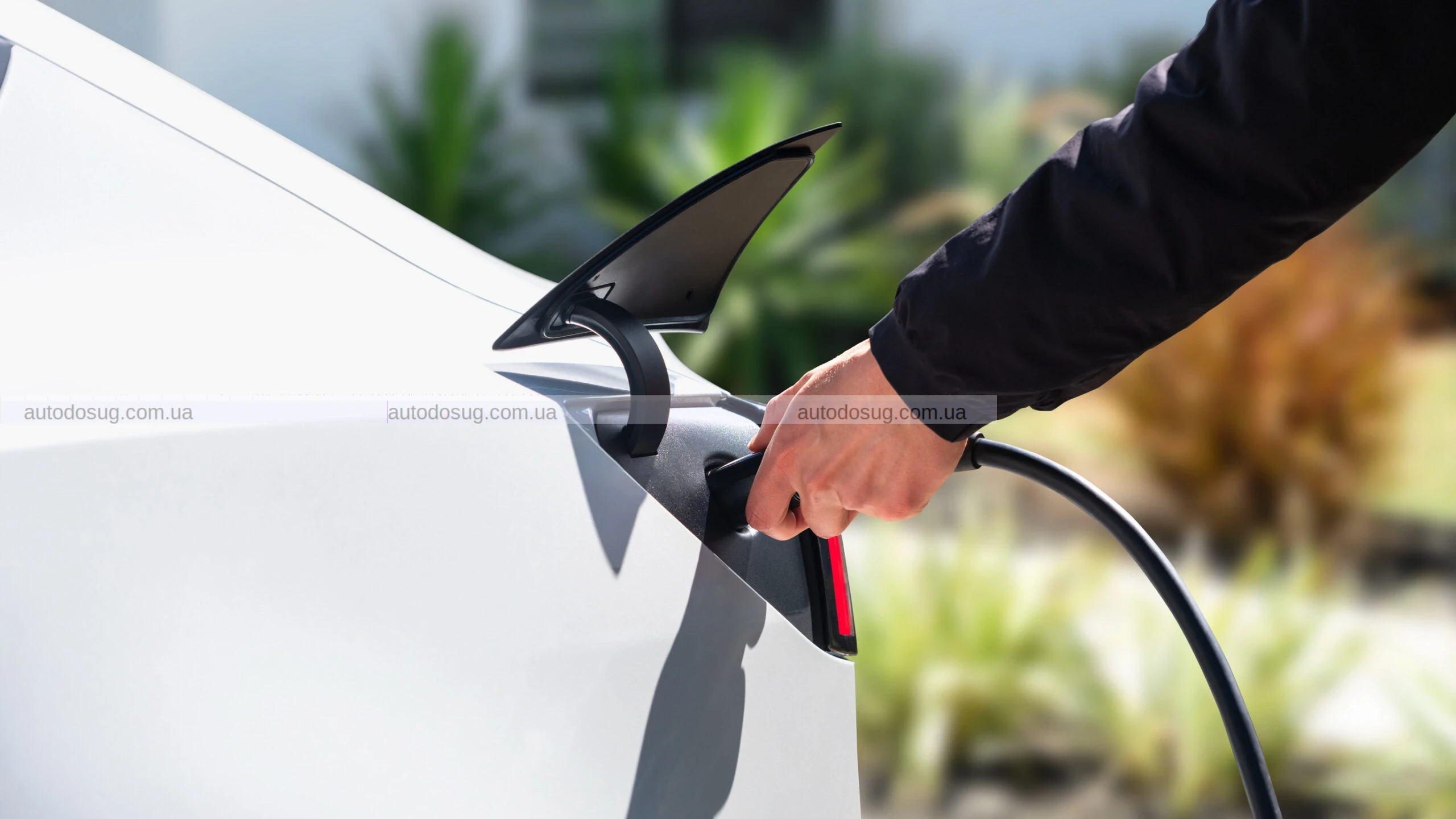 Tesla представляє найдешевші версії — Model 3 Standard і Model Y Standard