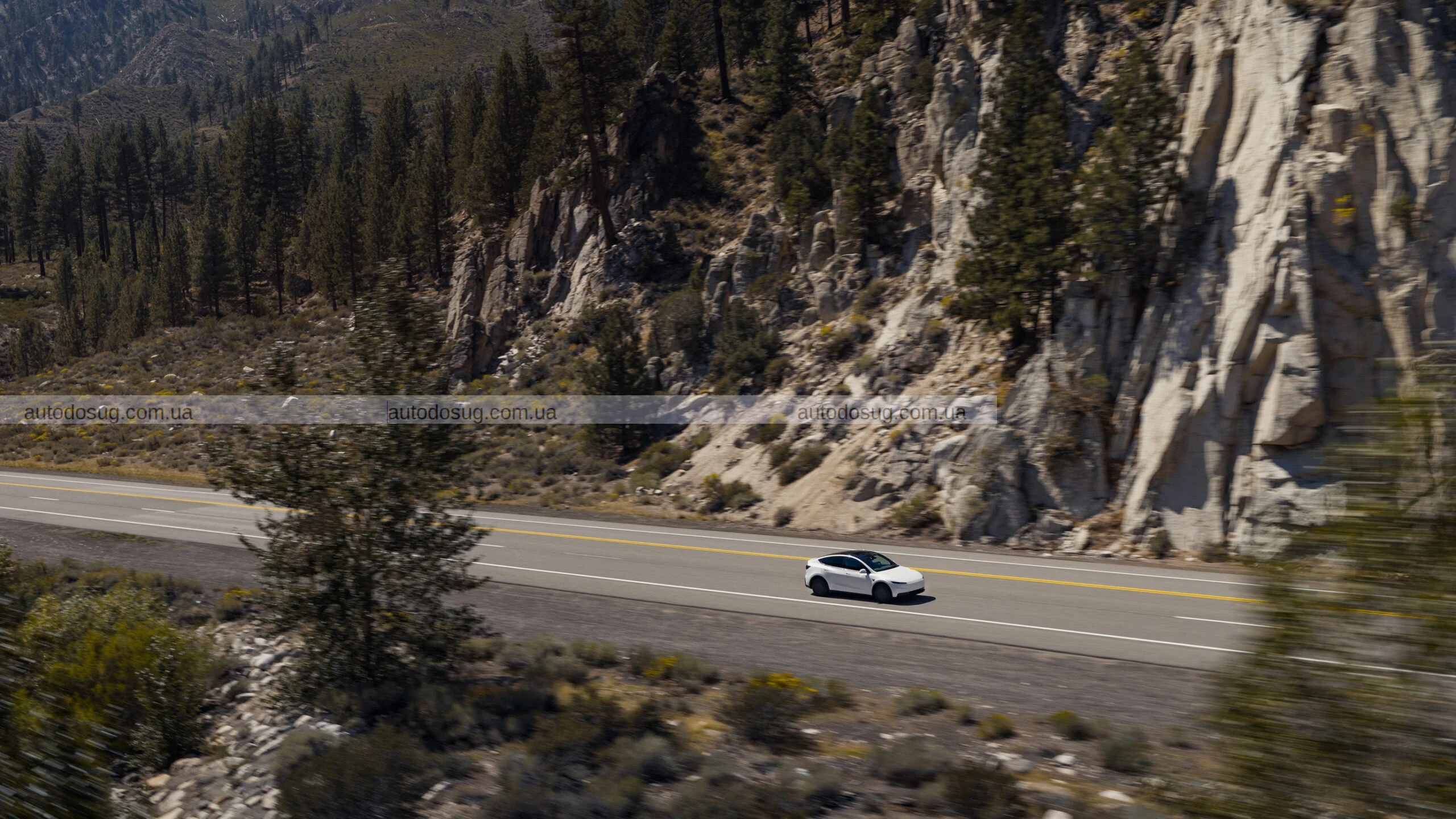 Tesla представляє найдешевші версії — Model 3 Standard і Model Y Standard