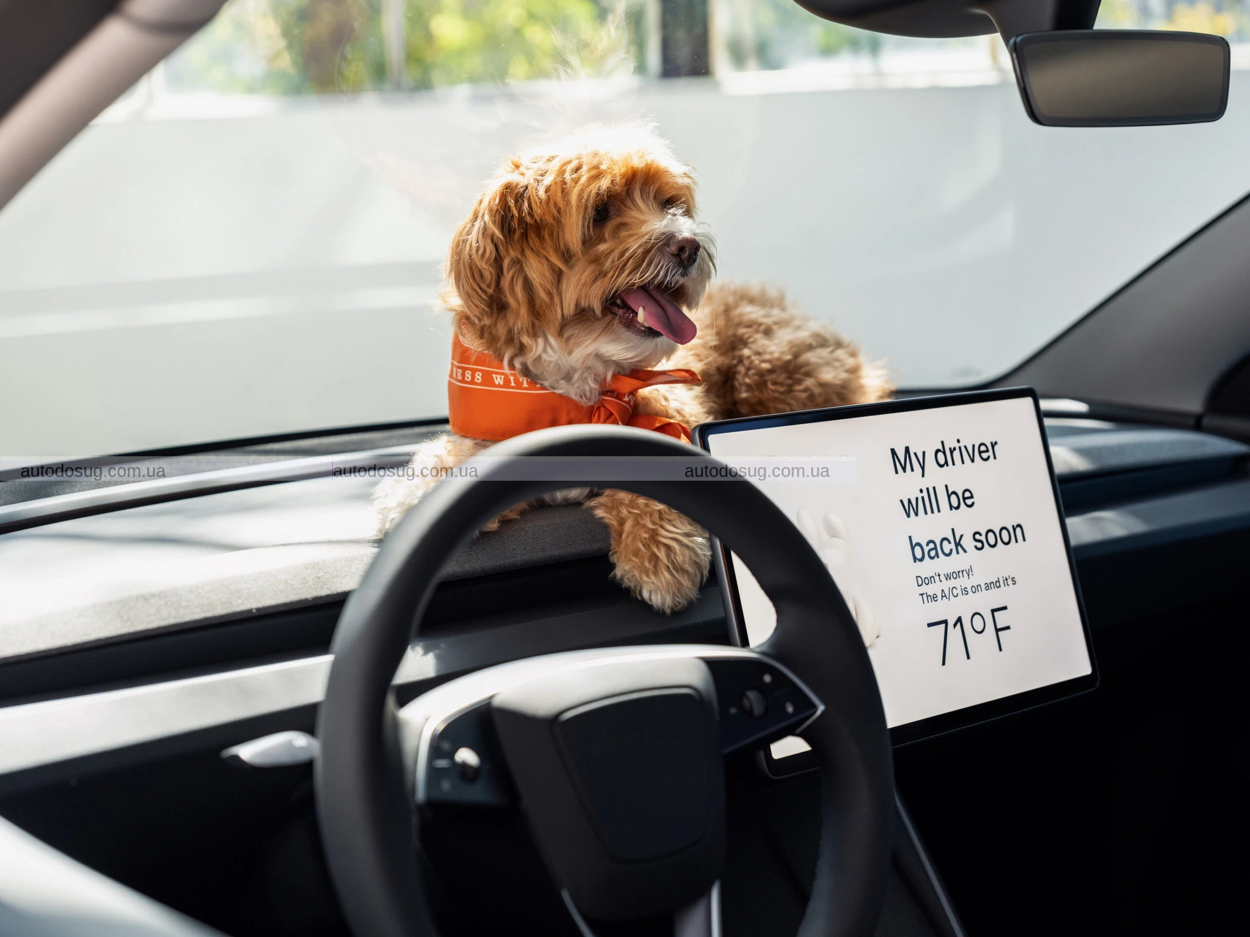 Tesla представляє найдешевші версії — Model 3 Standard і Model Y Standard