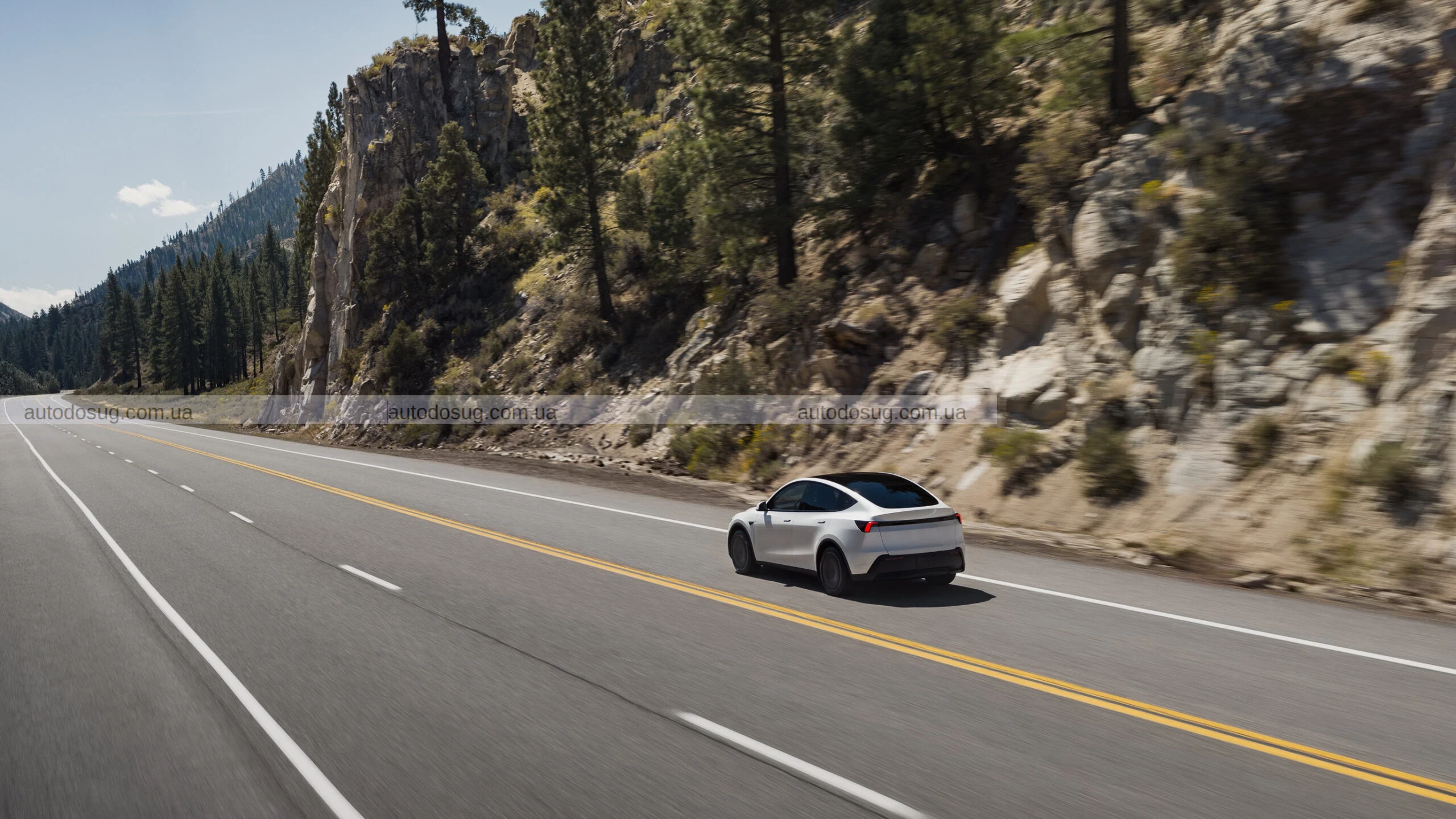 Tesla представляє найдешевші версії — Model 3 Standard і Model Y Standard