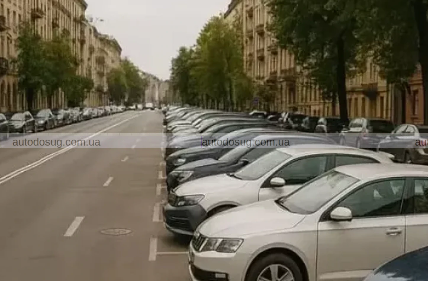 У застосунку “Київ Цифровий” з'явилась функція перевірки вільних паркомісць