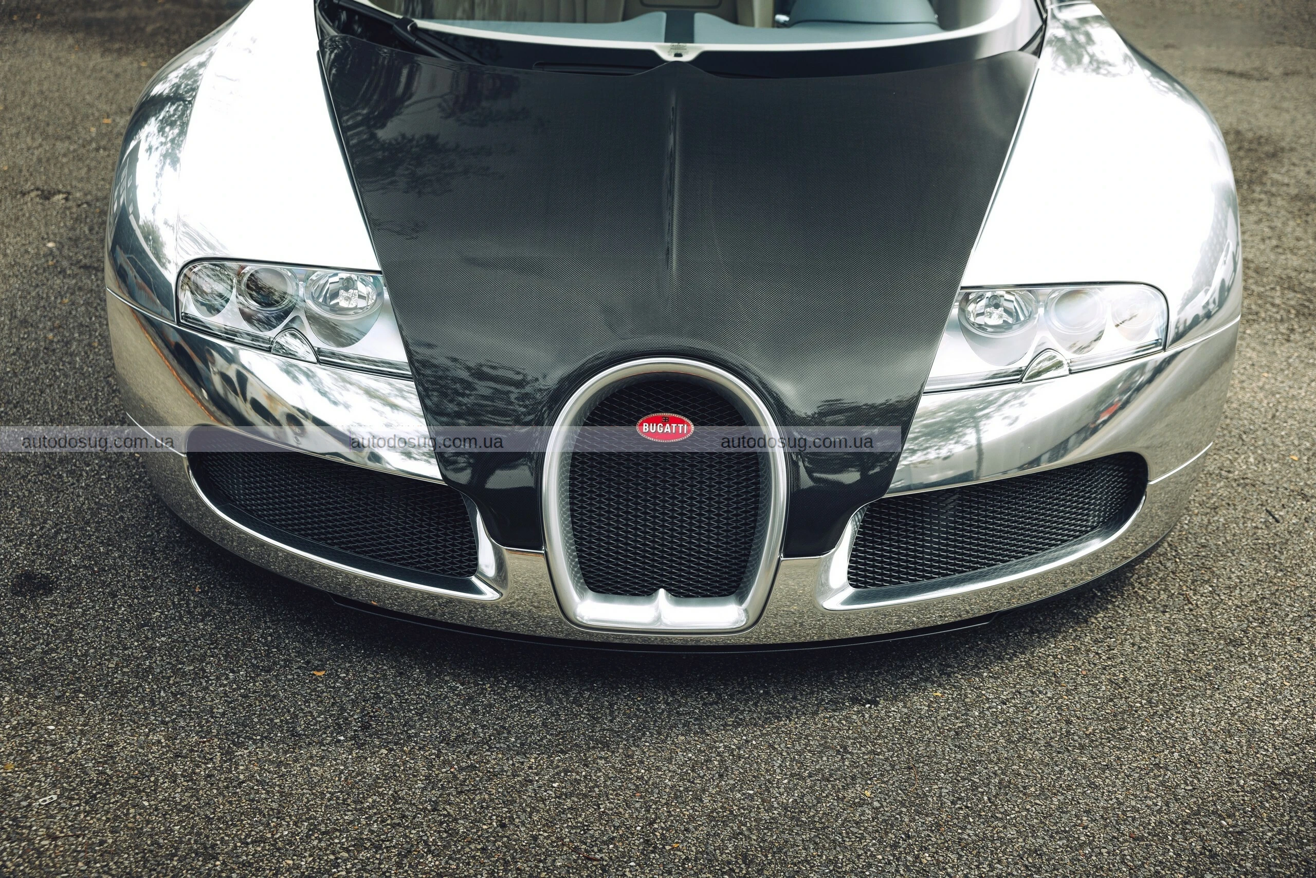 Унікальний гіперкар Bugatti Veyron 16.4 Pur Sang без фарби доводить, що досконалості не потрібен колір