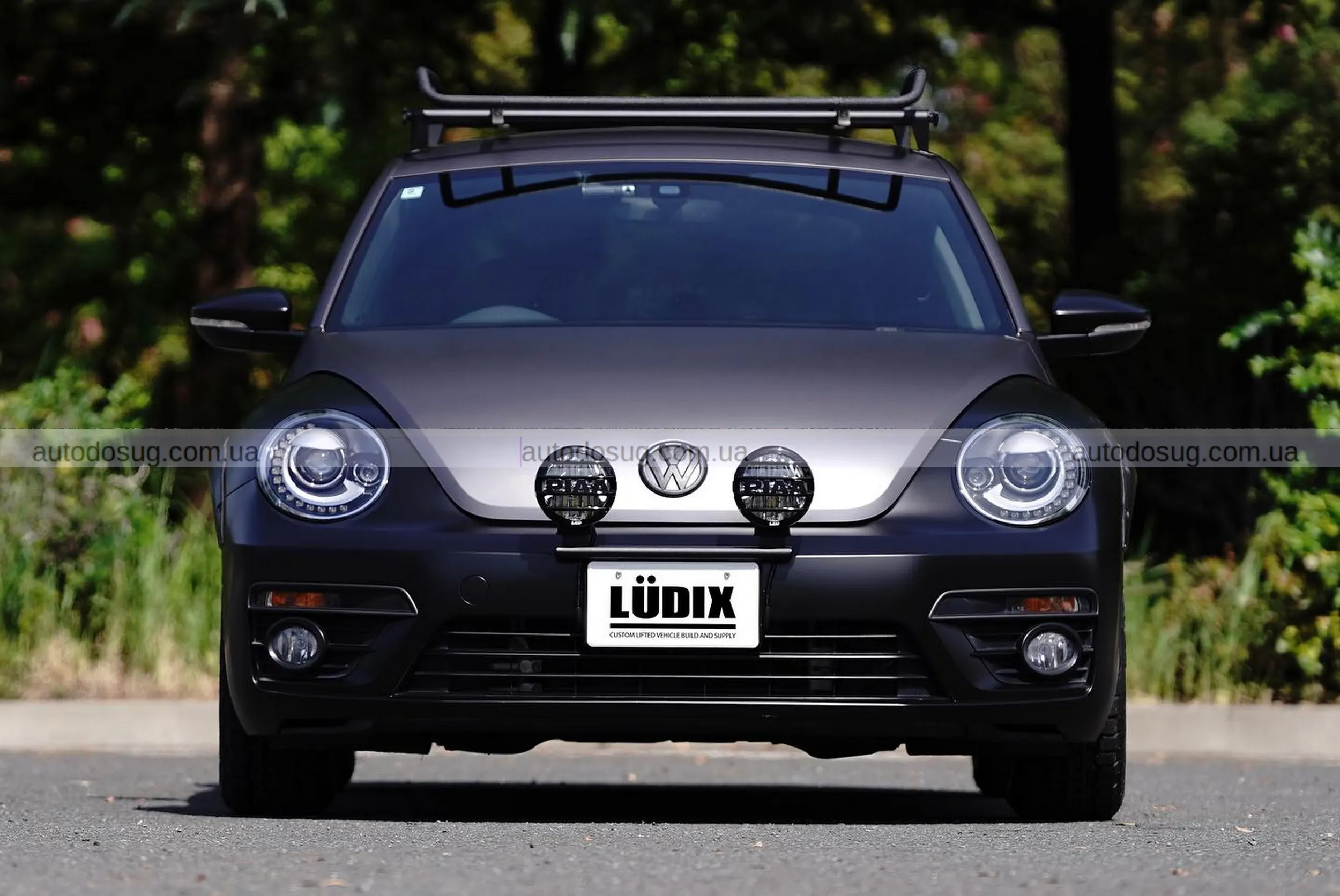 Японський тюнер робить з Volkswagen “Жуків”, які кусаються