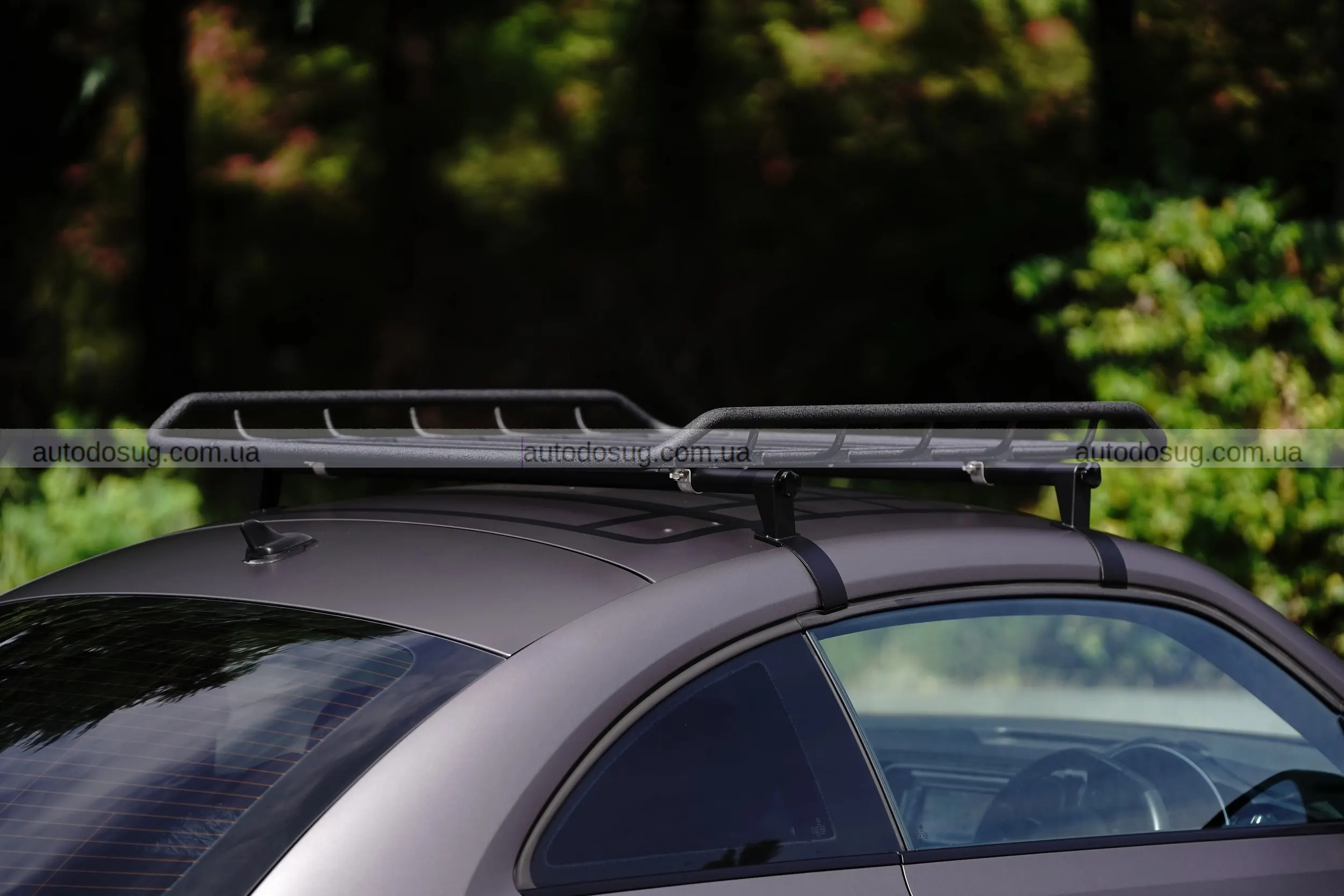 Японський тюнер робить з Volkswagen “Жуків”, які кусаються