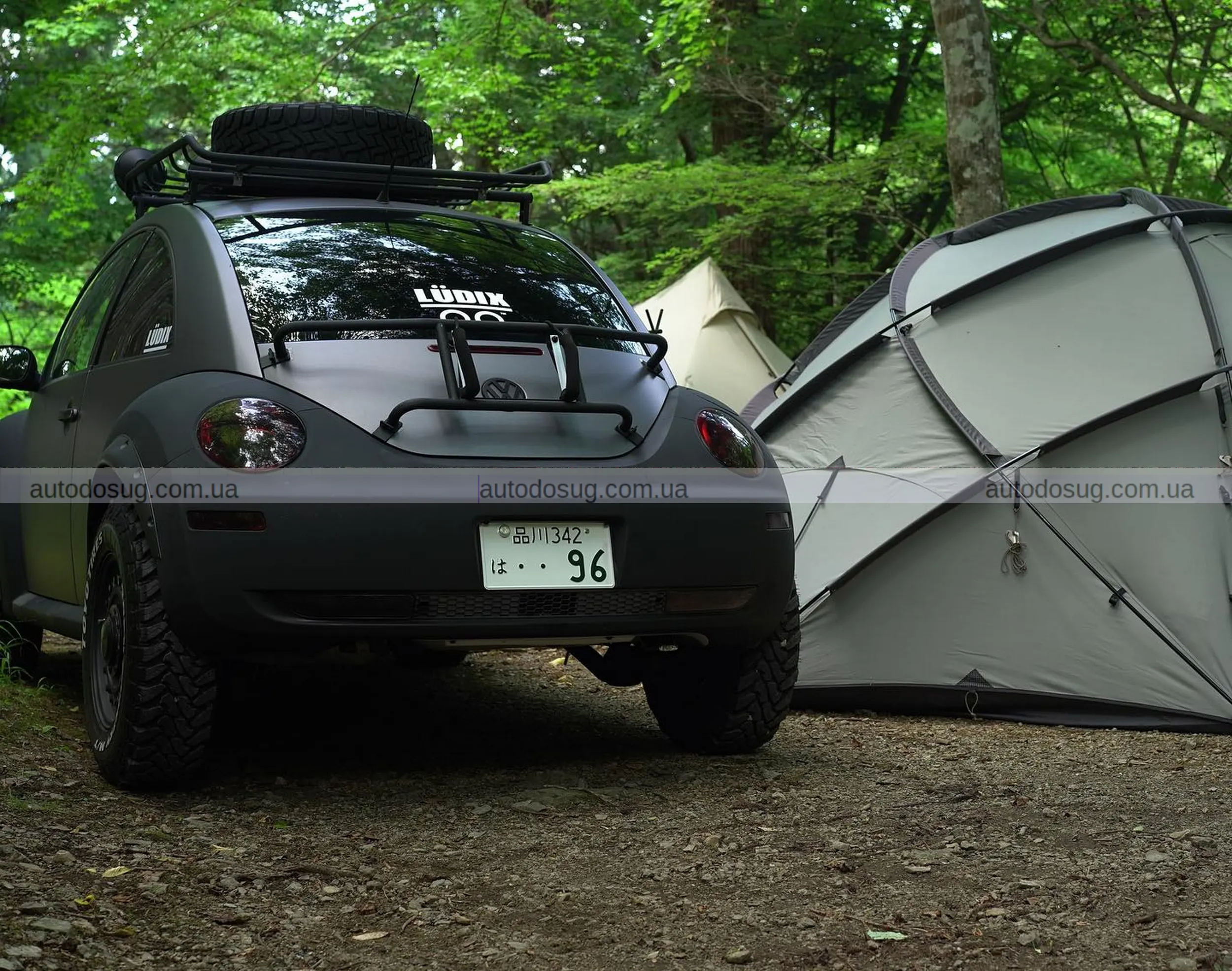 Японський тюнер робить з Volkswagen “Жуків”, які кусаються