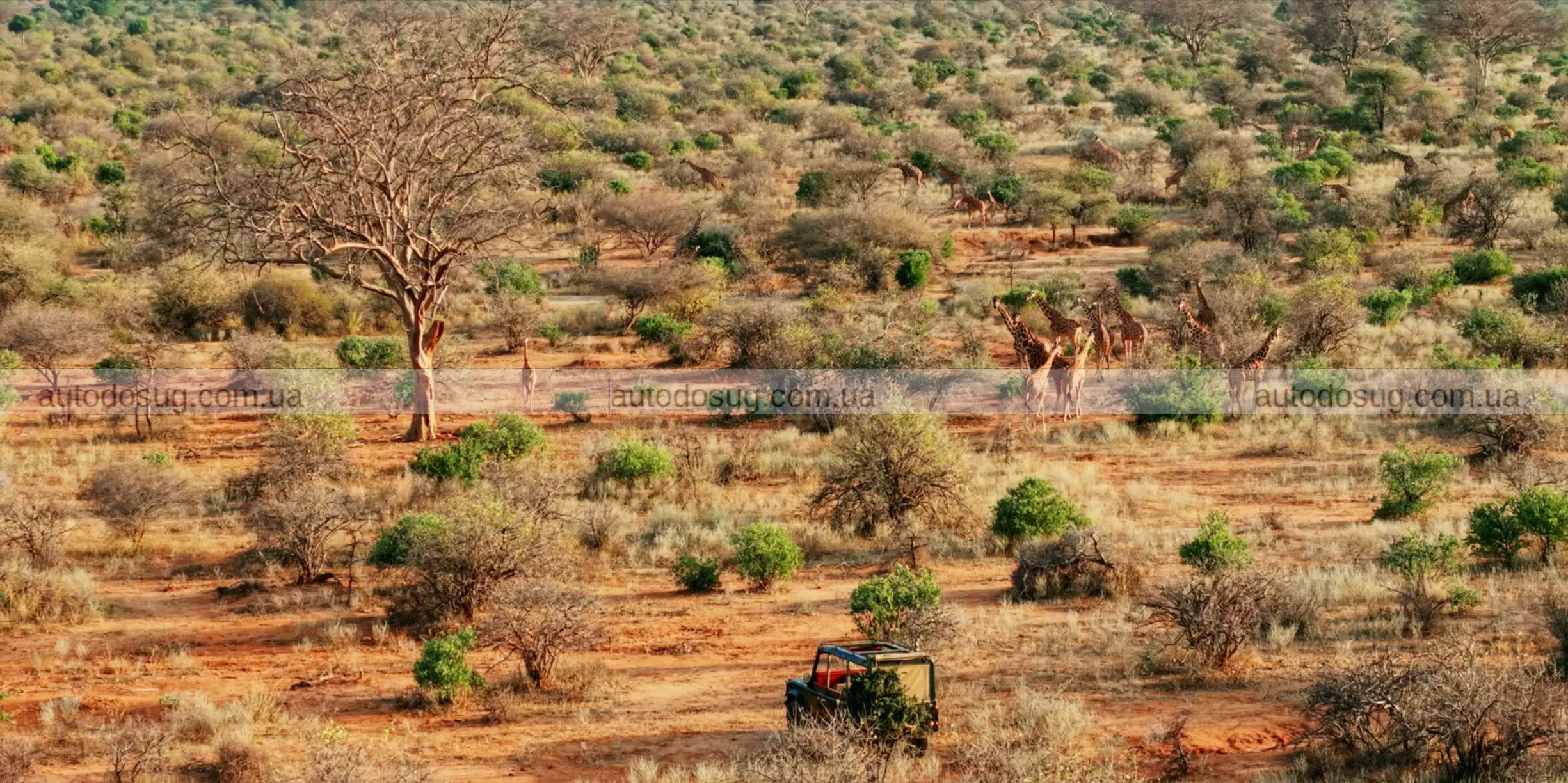 Одна зміна в цьому Land Rover Defender перетворює сафарі на справжню магію