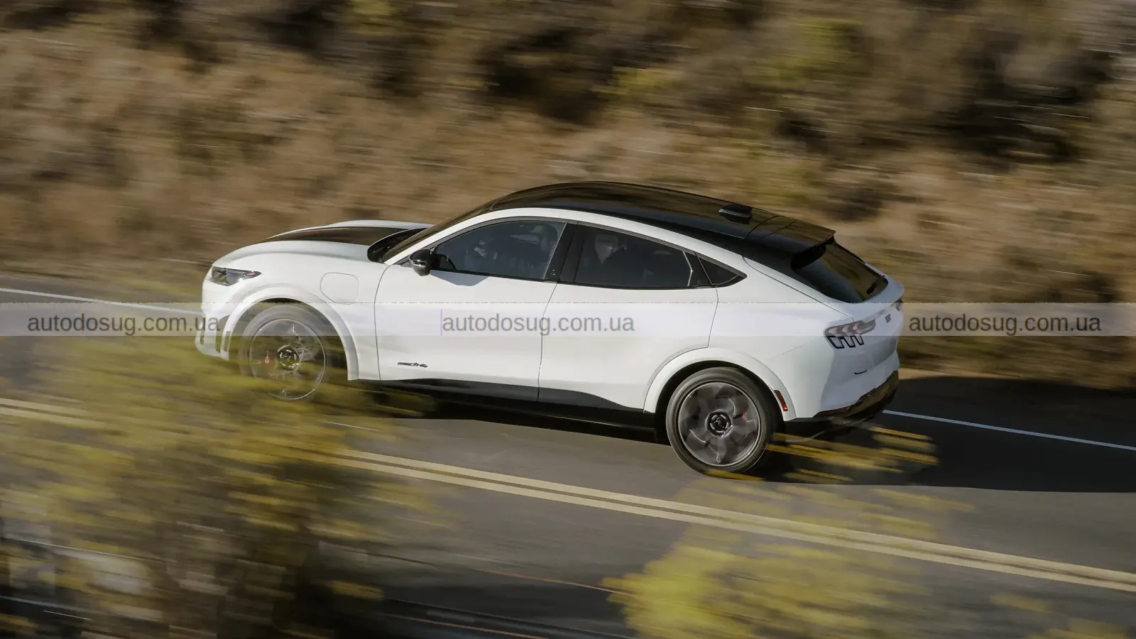 Tesla розгромлює Ford Mustang Mach-E