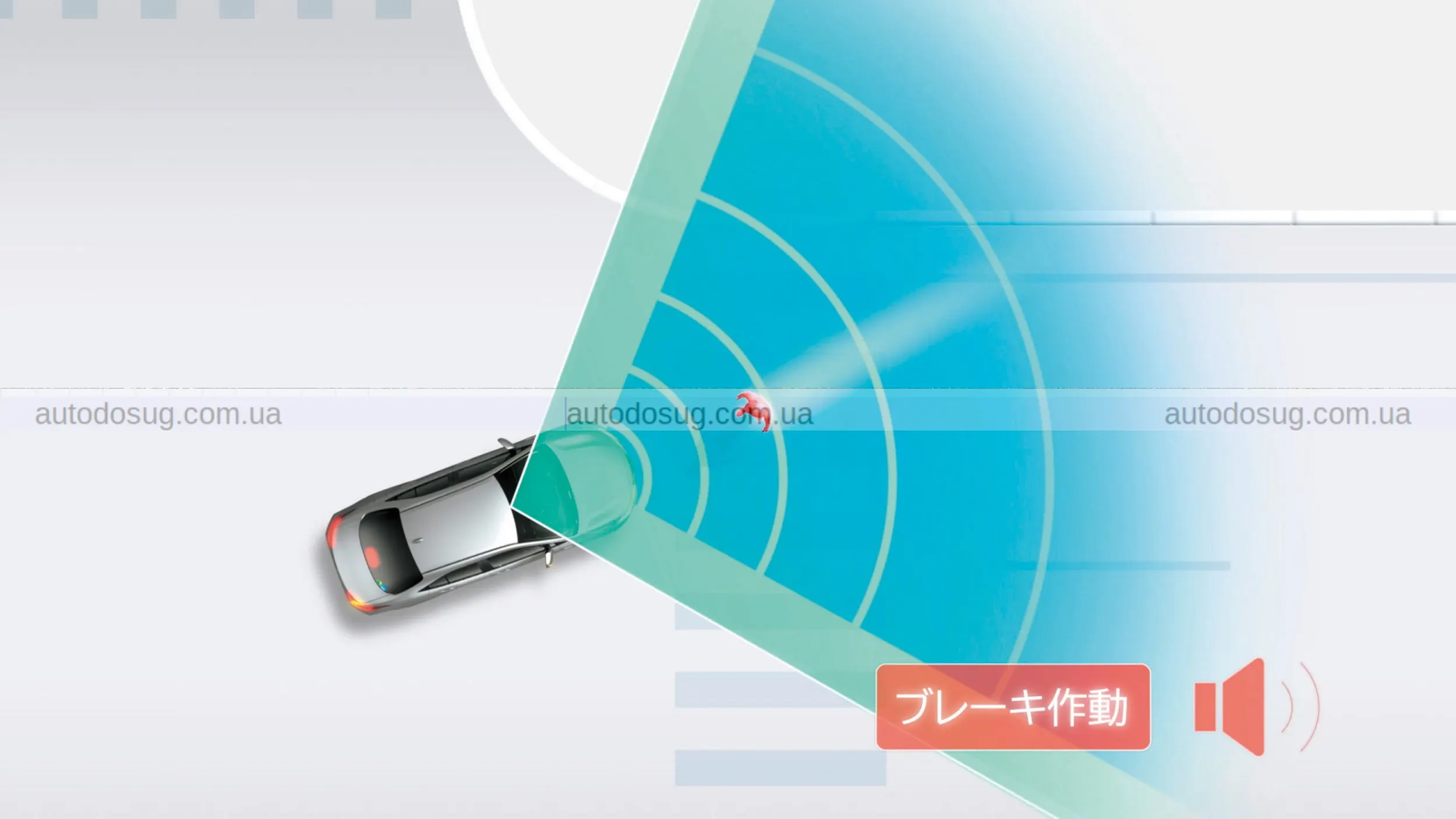 Toyota оновлює застарілий Probox