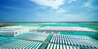 Схожа новина