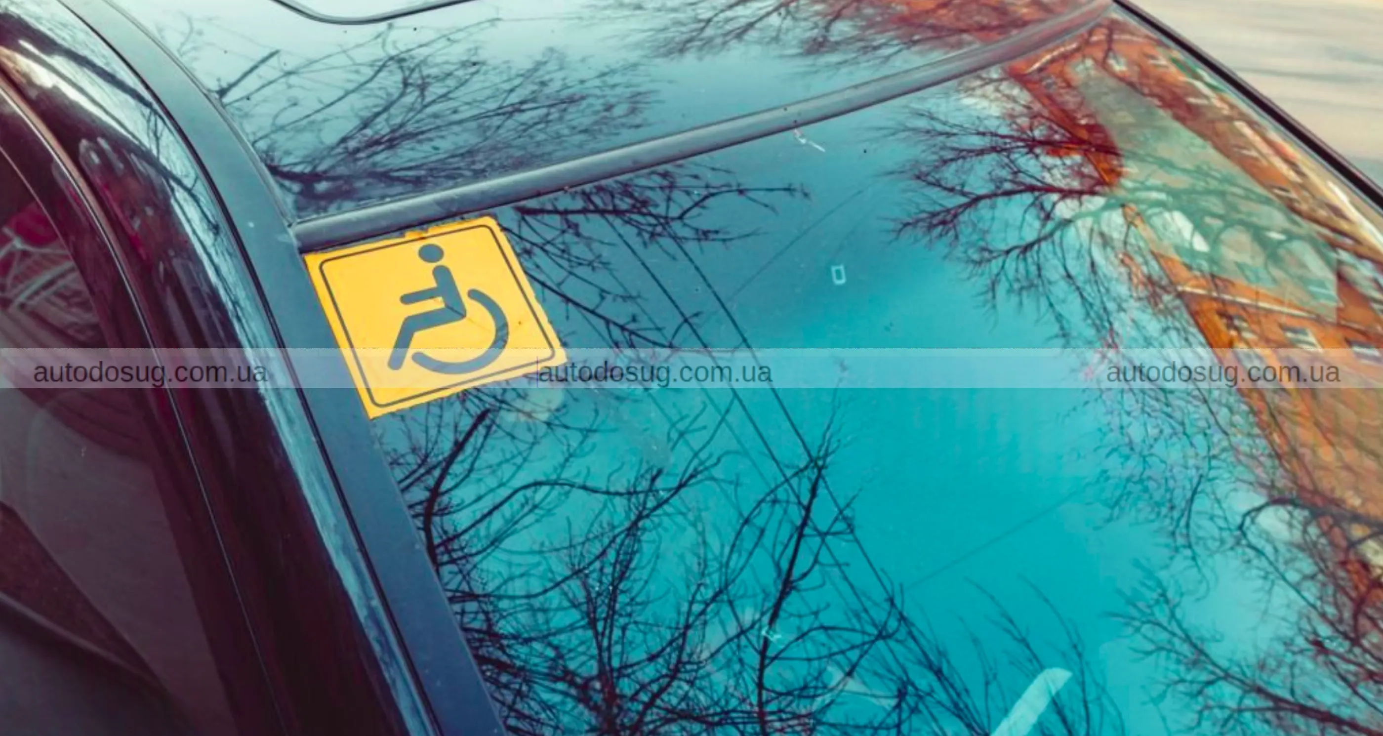 Кабмін запровадив механізм компенсації за адаптацію авто для людей з інвалідністю