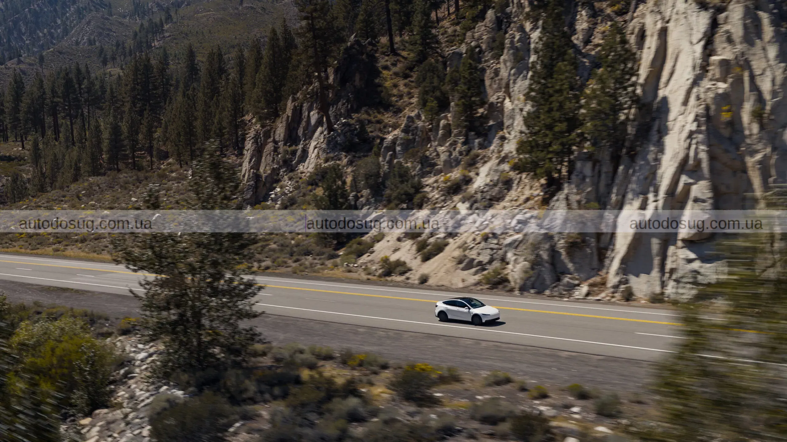 Tesla агресивно знижує ціну та майже доплачує за Model Y