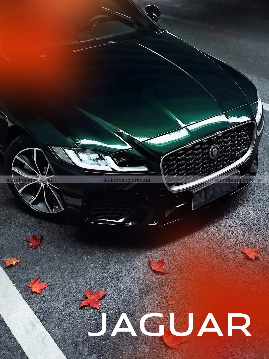 Ви все ще можете купити новий бензиновий Jaguar за 22 тисячі доларів