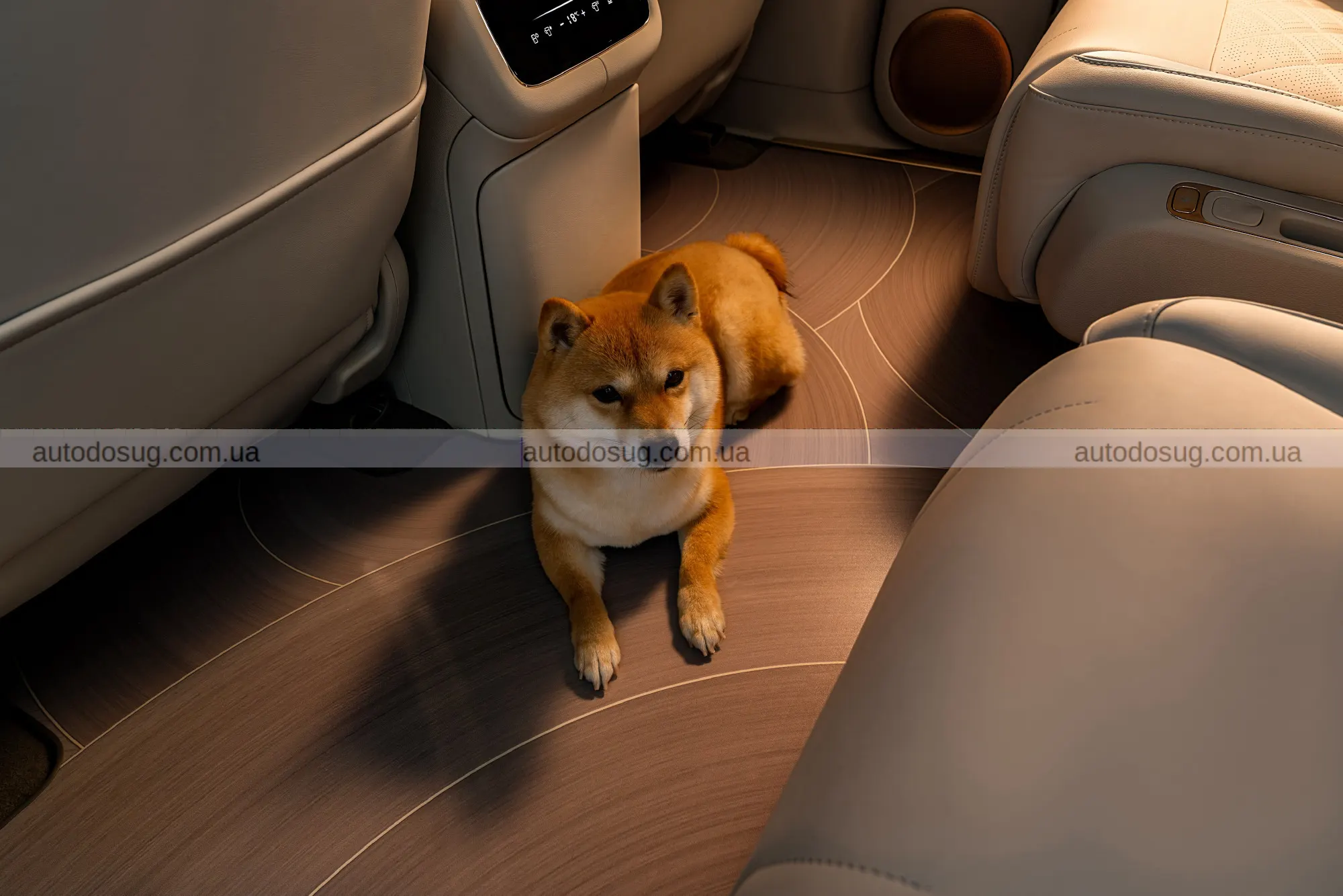 IM Motors LS9 Hyper змінює уявлення про великі SUV