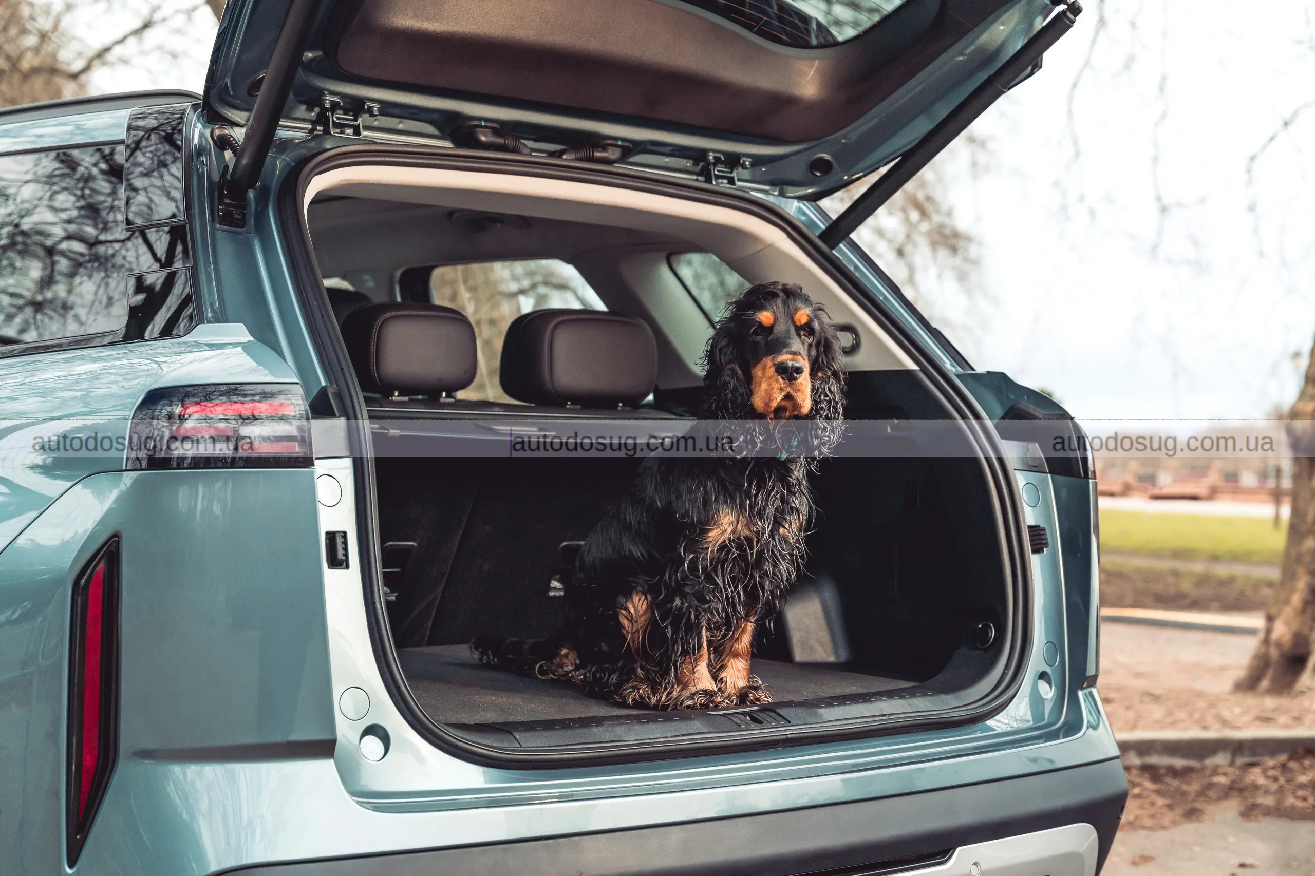 Китайський SUV, що шокує британців