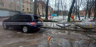 Схожа новина