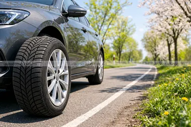 Схожа новина