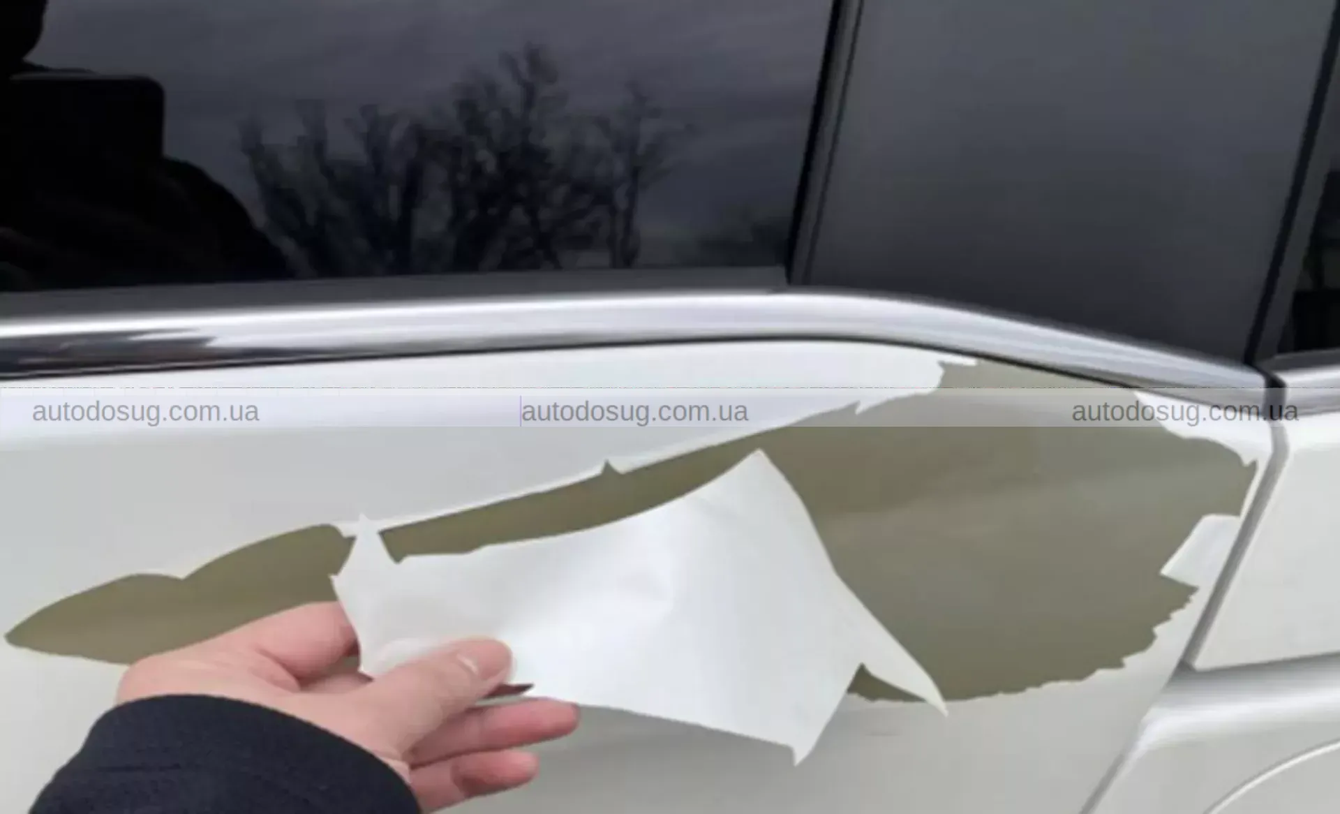 Honda опинилася під ударом через фарбу, що злітає шматками